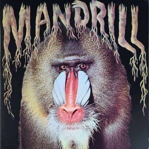 mandrill - mandrill (vg+) (vg+)