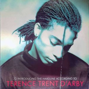 terrence trent d'arby - introducing the hardline according to