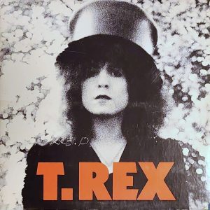 t rex - the slider (vg+) (vg+)