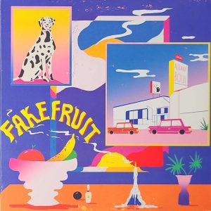 fake fruit - rocks in your head (vg+) (vg+) Cat. #RIYH 007