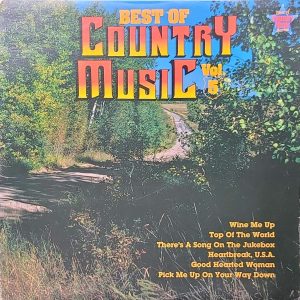 best of country music volume 5 - various artists