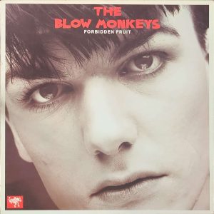 THE BLOW MONKEYS - FORBIDDEN FRUIT