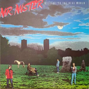 MR. MISTER - WELCOME TO THE REAL WORLD