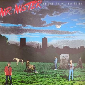 MR. MISTER - WELCOME TO THE REAL WORLD
