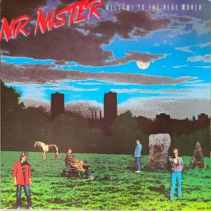 MR. MISTER - WELCOME TO THE REAL WORLD
